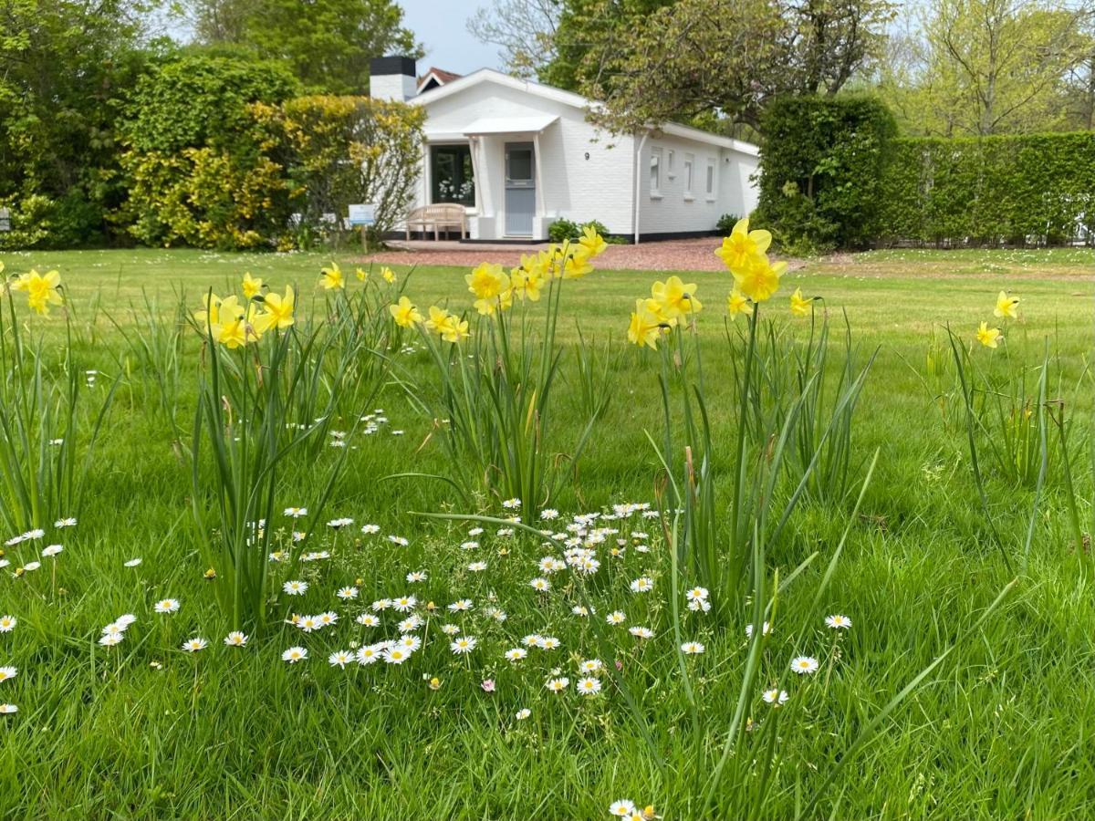 Holiday Park Dennenbos โอชต์คาเปลเล ภายนอก รูปภาพ