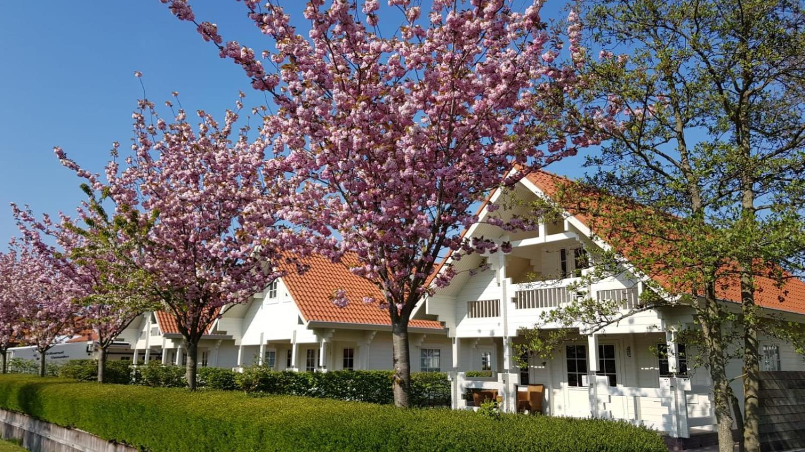 Holiday Park Dennenbos โอชต์คาเปลเล ภายนอก รูปภาพ