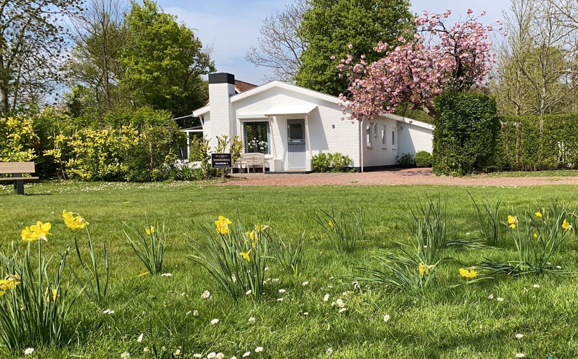 Holiday Park Dennenbos โอชต์คาเปลเล ภายนอก รูปภาพ